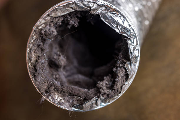 Best Air Duct Cleaning Company Near Me  in Dilworthtown, PA